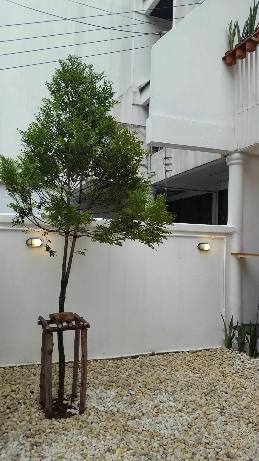 בנגקוק Haus Sathorn 21 Bed And Breakfast מראה חיצוני תמונה